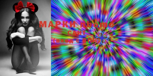 шишки Аркадак
