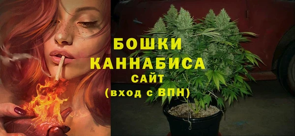 шишки Аркадак