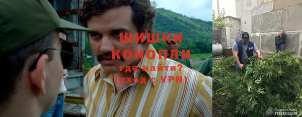 гашик Алексеевка