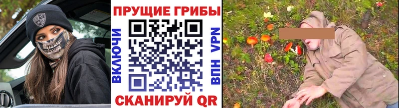 Галлюциногенные грибы ЛСД Чистополь